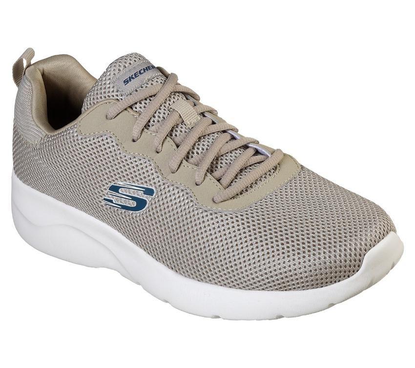 Men's Dynamight 2.0 - Rayhill